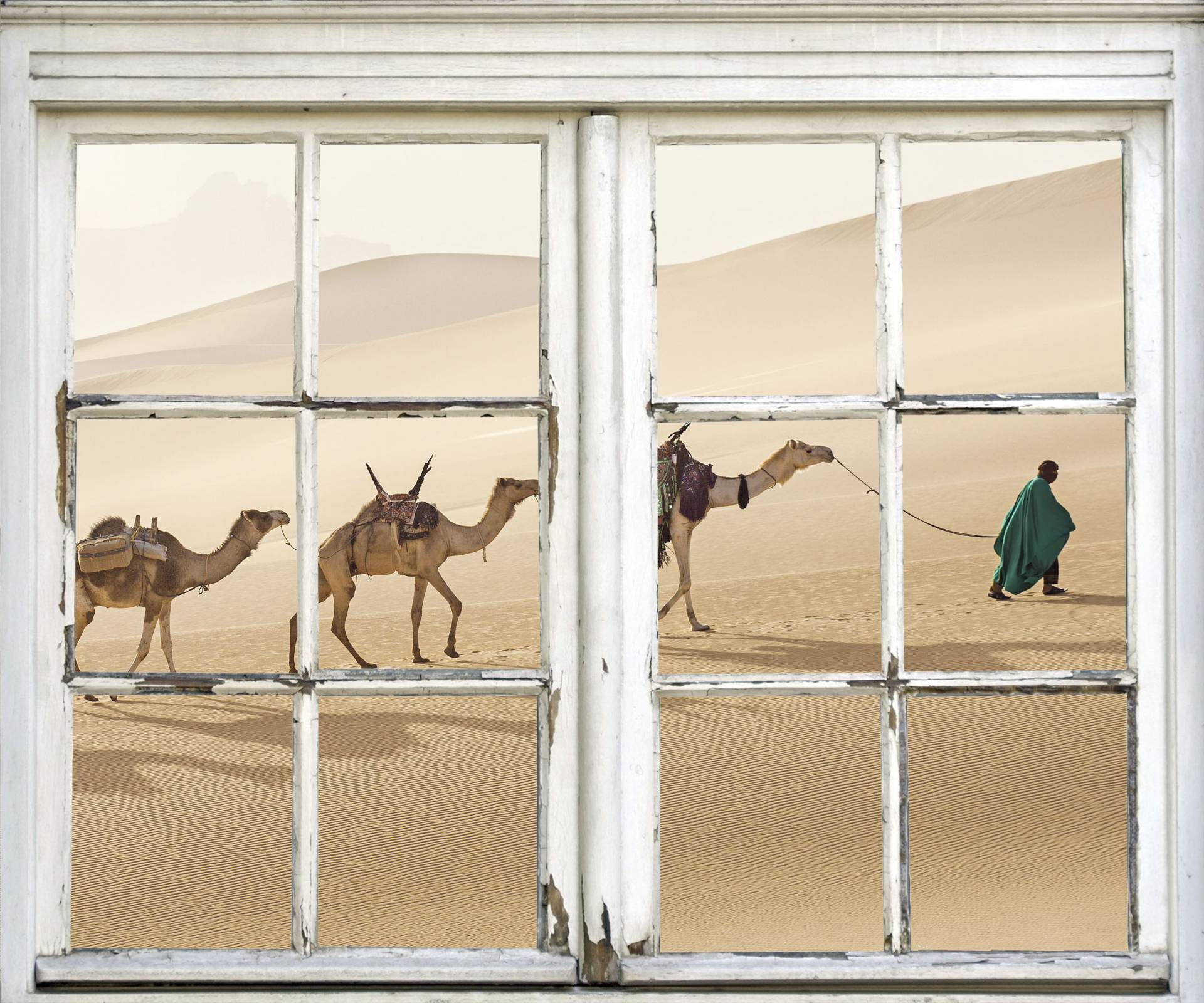 queence Wandsticker »Kamele in Wüste« von queence