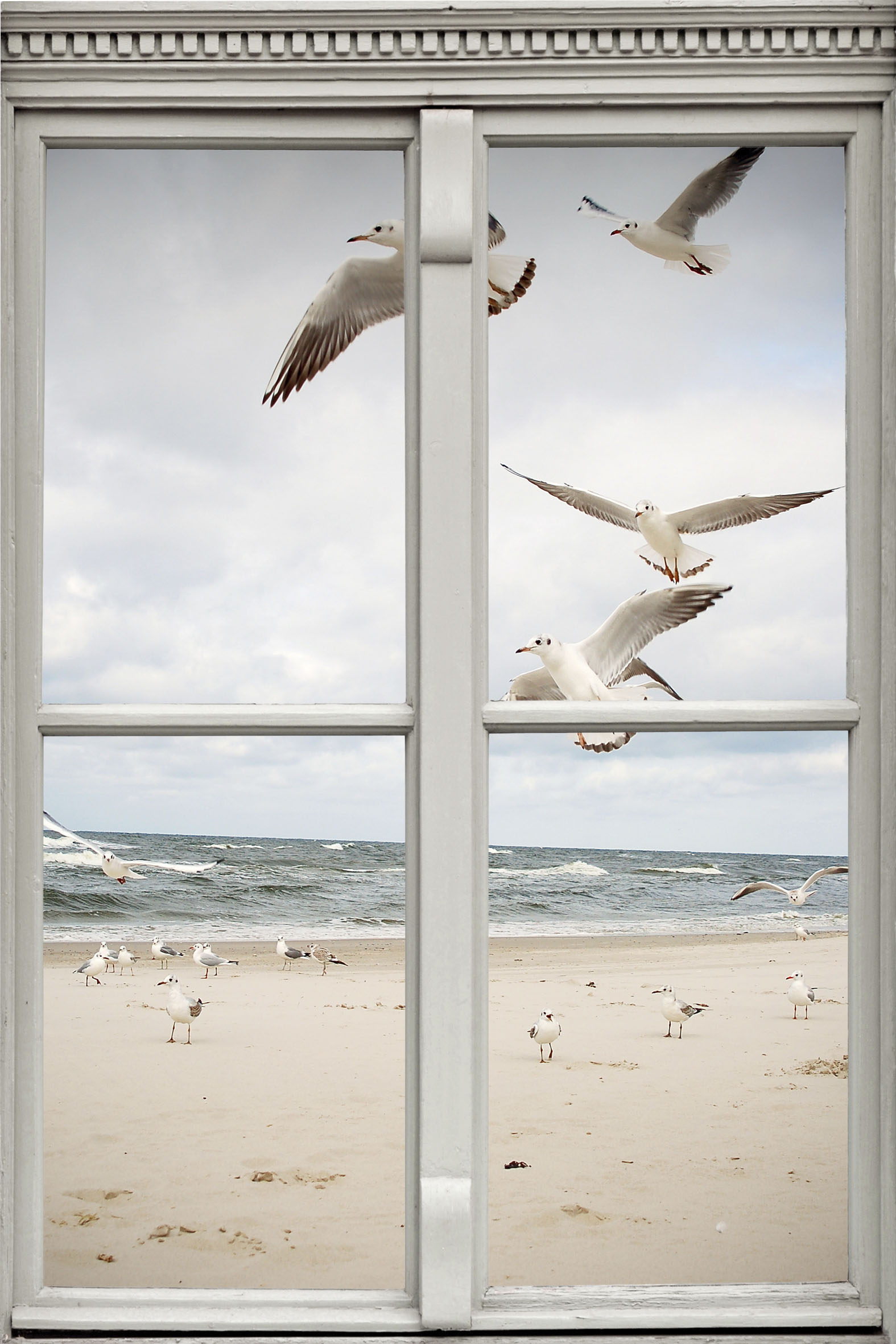 queence Wandsticker »Möwen am Strand«, Wandsticker, Wandbild, selbstklebend, 3D, Fenster queence Wandsticker »Möwen am Strand«, Wandsticker, Wandbild, selbstklebend, 3D, Fenster von queence