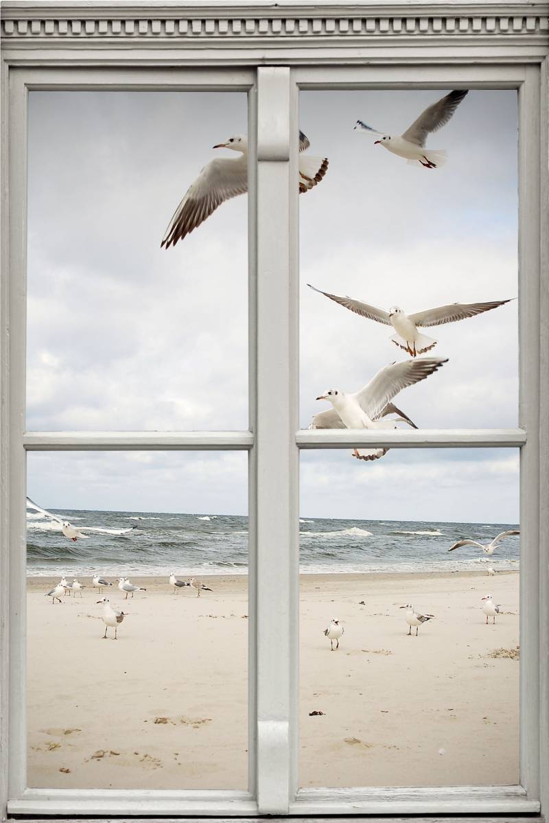 queence Wandsticker »Möwen am Strand«, Wandsticker, Wandbild, selbstklebend, 3D, Fenster von queence