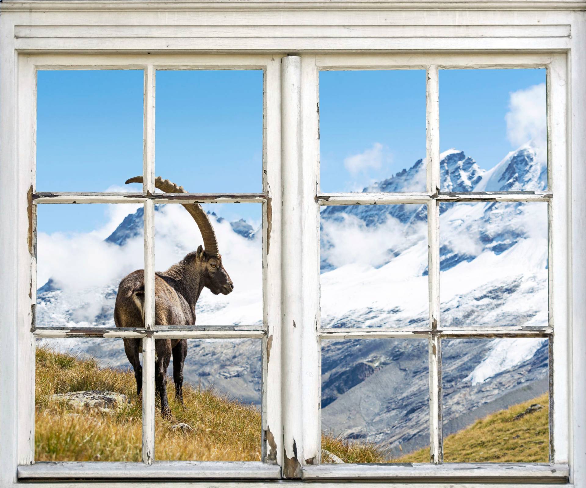 queence Wandsticker »Steinbock«, Wandsticker, Wandbild, selbstklebend, 3D, Fenster, Steinbock queence Wandsticker »Steinbock«, Wandsticker, Wandbild, selbstklebend, 3D, Fenster, Steinbock von queence