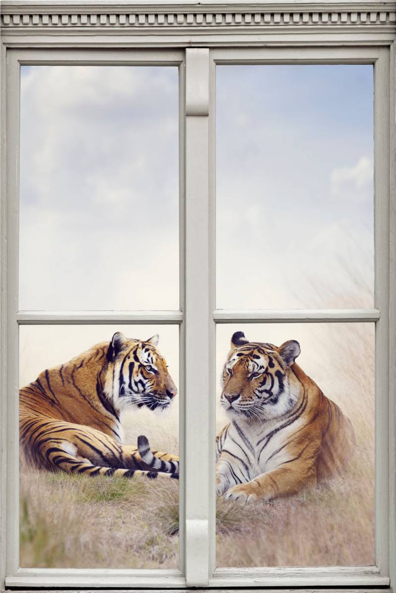 queence Wandsticker »Tiger«, Wandsticker, Wandbild, selbstklebend, 3D, Fenster von queence
