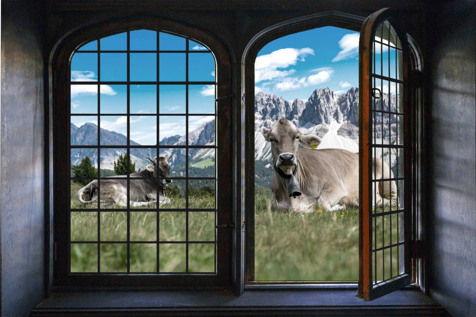 queence Wandsticker »Touch of Austria«, Wandsticker, Wandbild, selbstklebend, 3D, Fenster queence Wandsticker »Touch of Austria«, Wandsticker, Wandbild, selbstklebend, 3D, Fenster von queence