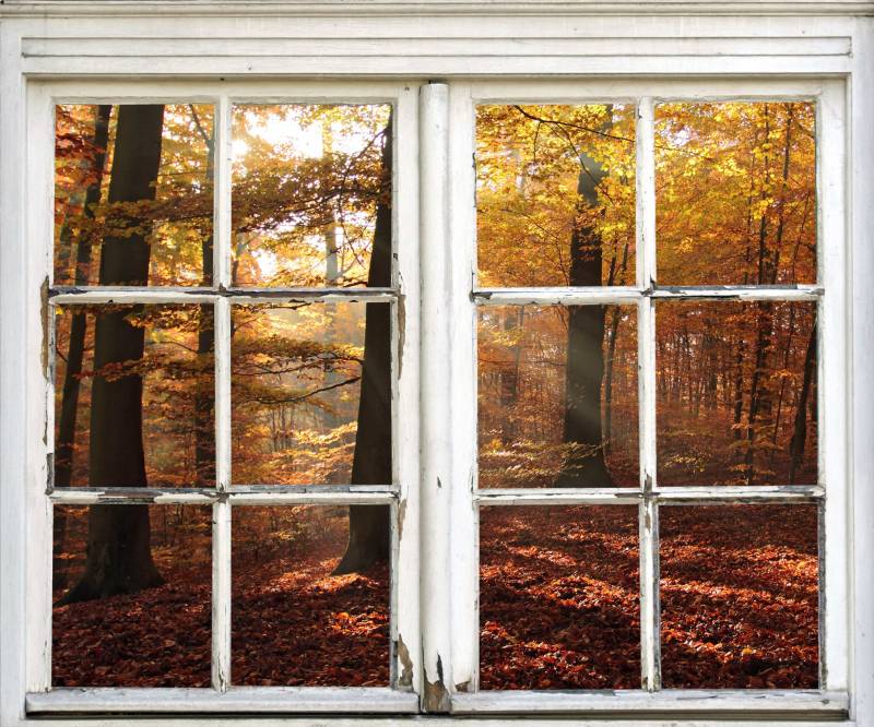 queence Wandsticker »Wald«, Wandsticker, Wandbild, selbstklebend, 3D, Fenster von queence