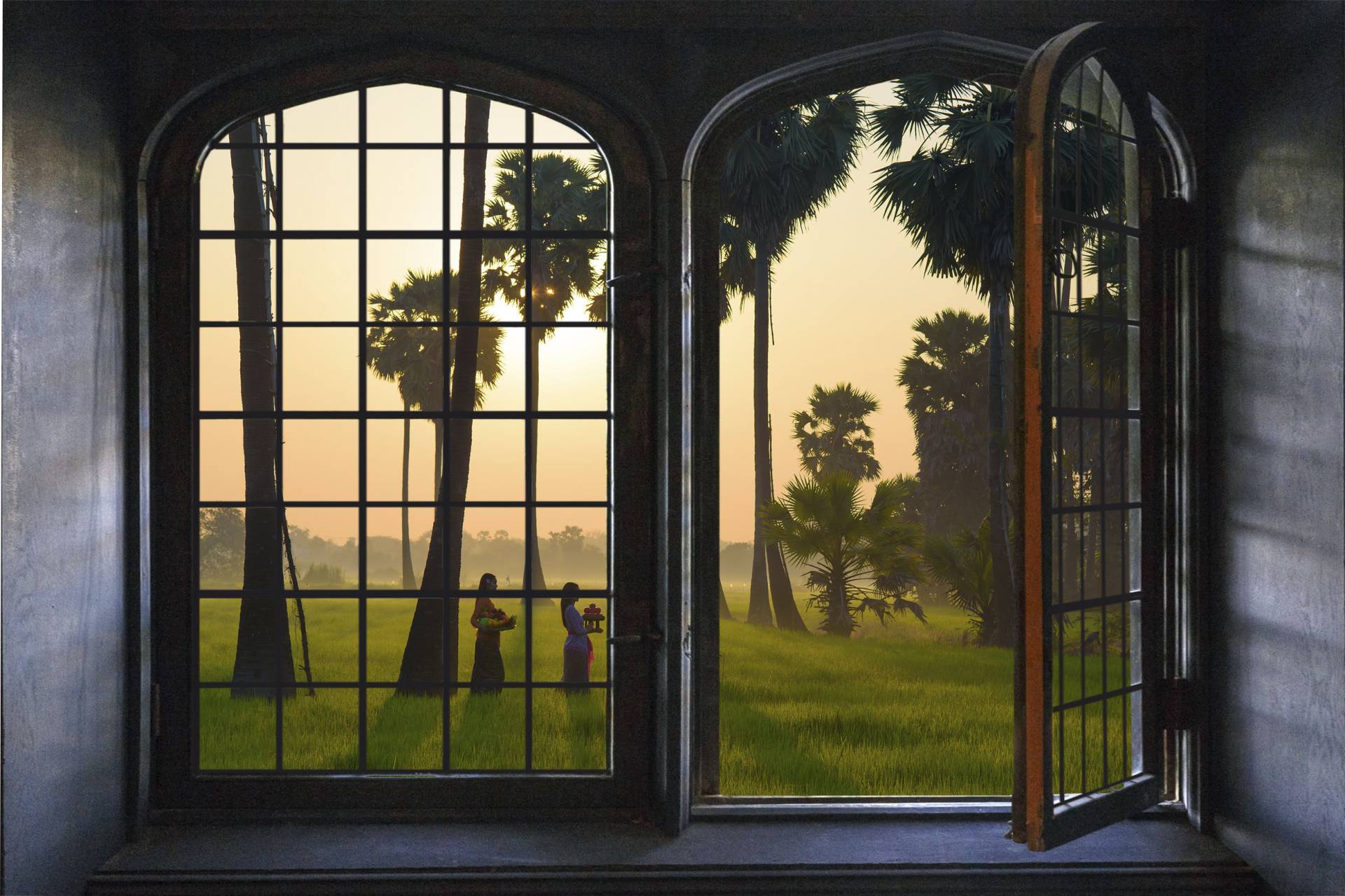 queence Wandsticker »Wald«, Wandsticker, Wandbild, selbstklebend, 3D, Fenster queence Wandsticker »Wald«, Wandsticker, Wandbild, selbstklebend, 3D, Fenster von queence