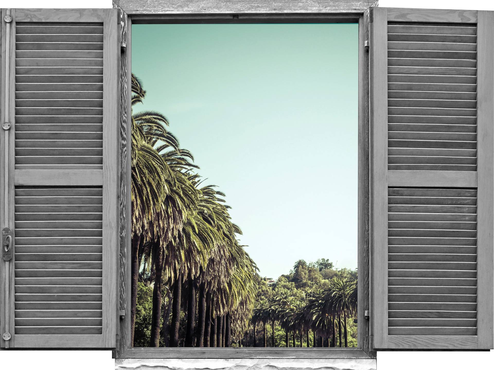 queence Wandtattoo »Allee«, (1 St.), Wandsticker, Wandbild, selbstklebend, 3D, Fenster von queence