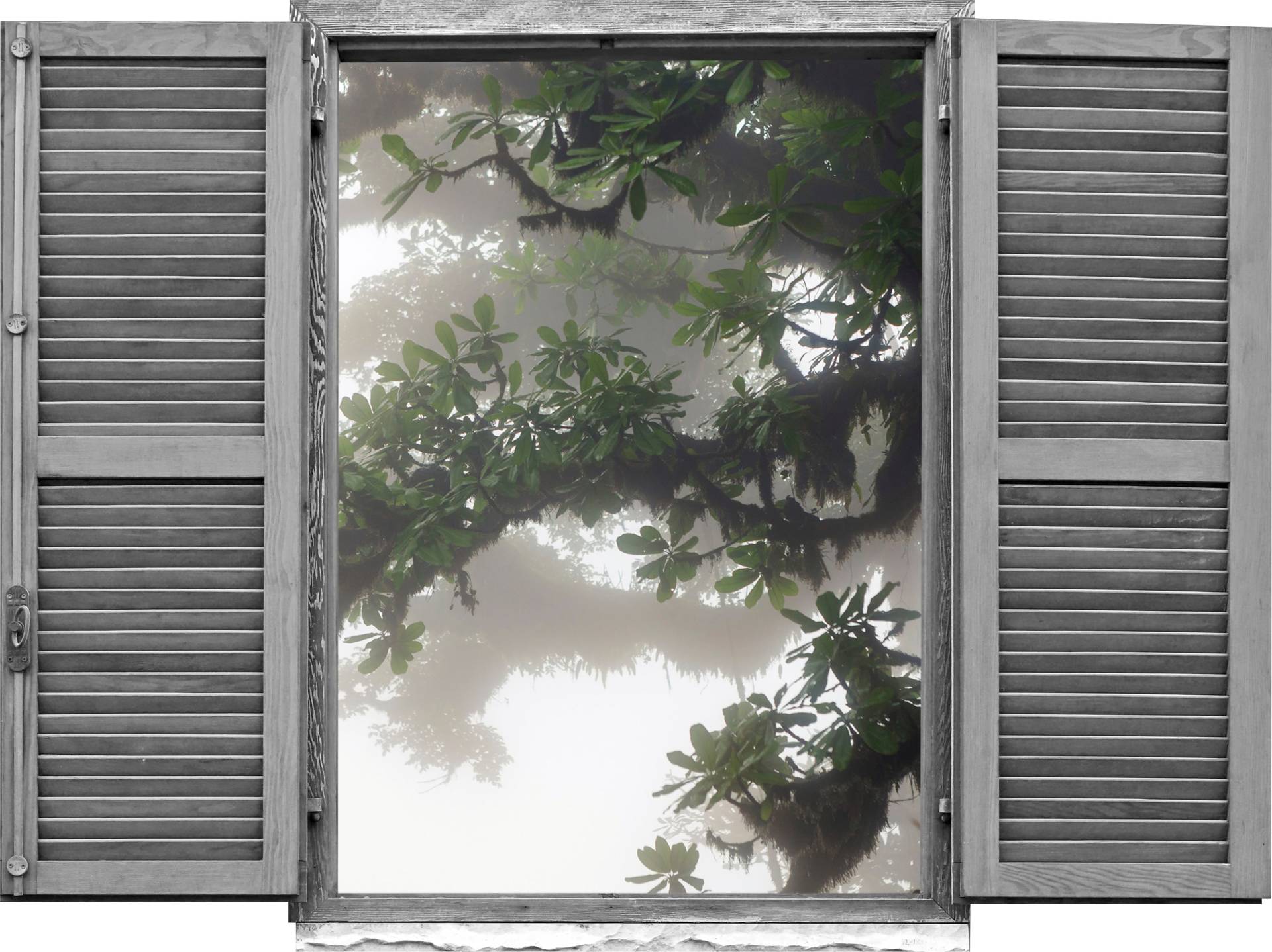queence Wandtattoo »Asiatischer Baum«, (1 St.), Wandsticker, Wandbild, selbstklebend, 3D, Fenster von queence