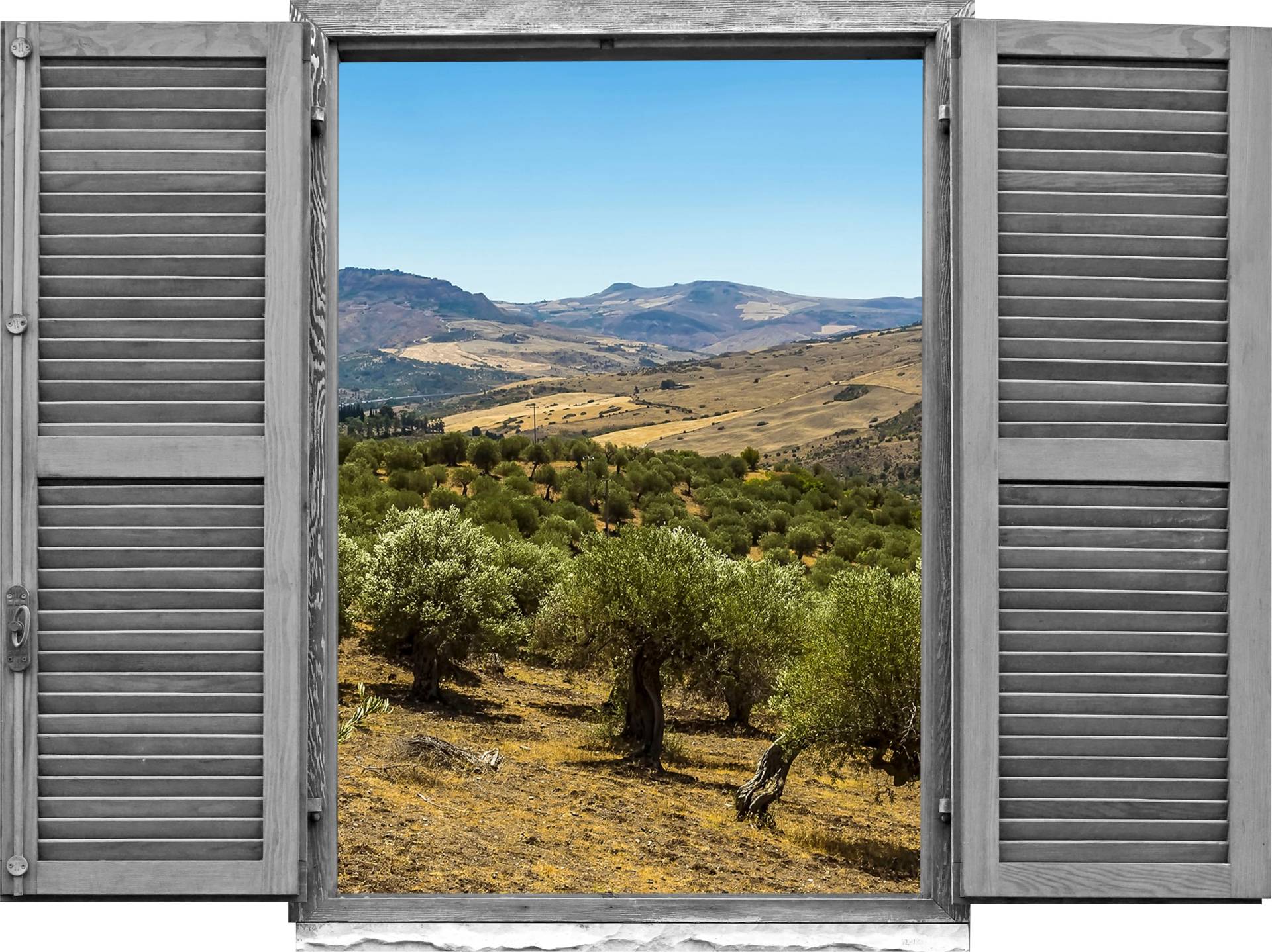 queence Wandtattoo »Landschaft von Olivenbäu«, (1 St.), Wandsticker, Wandbild, selbstklebend, 3D, Fenster von queence