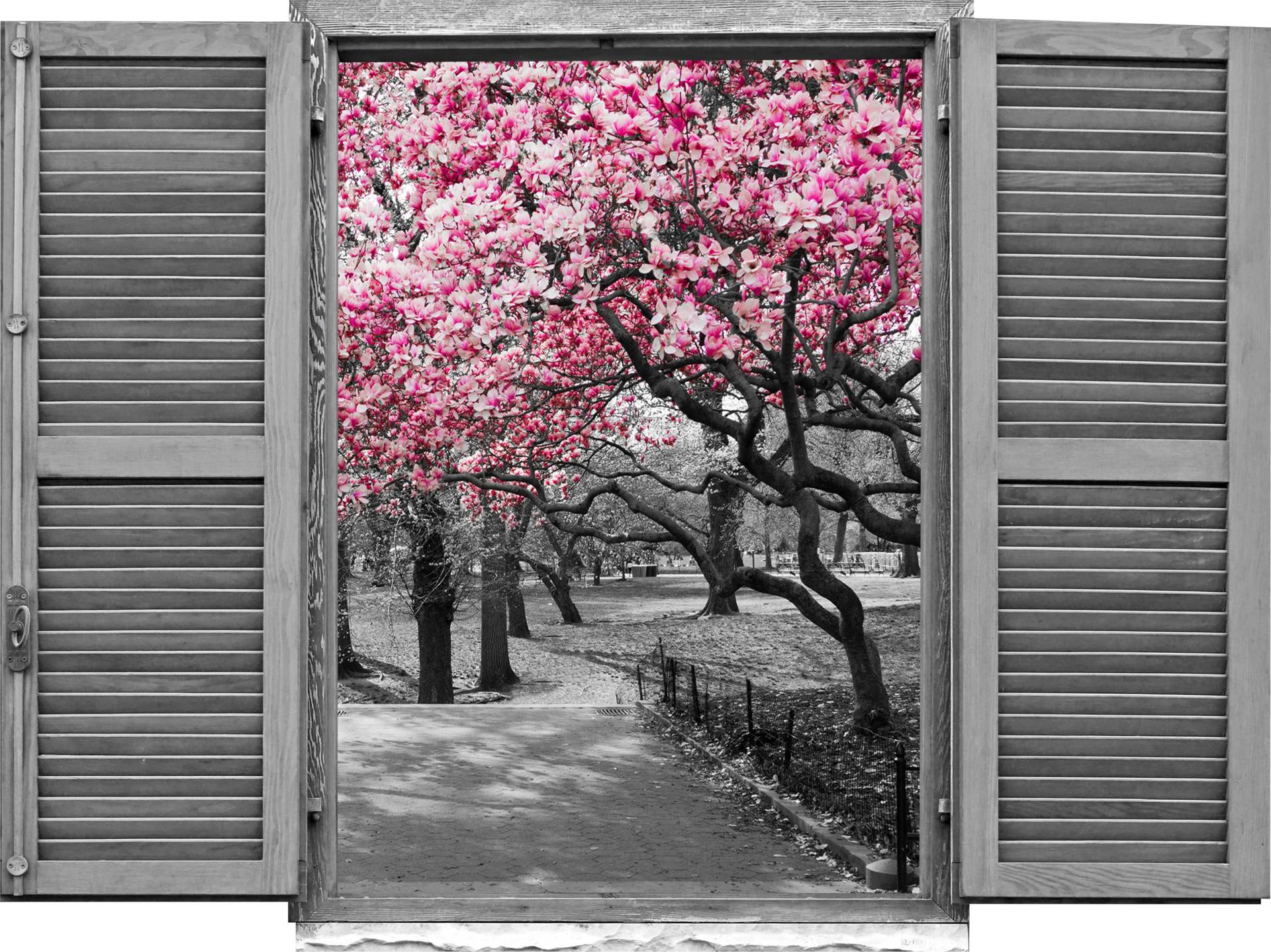 queence Wandtattoo »Park«, (1 St.), Wandsticker, Wandbild, selbstklebend, 3D, Fenster von queence