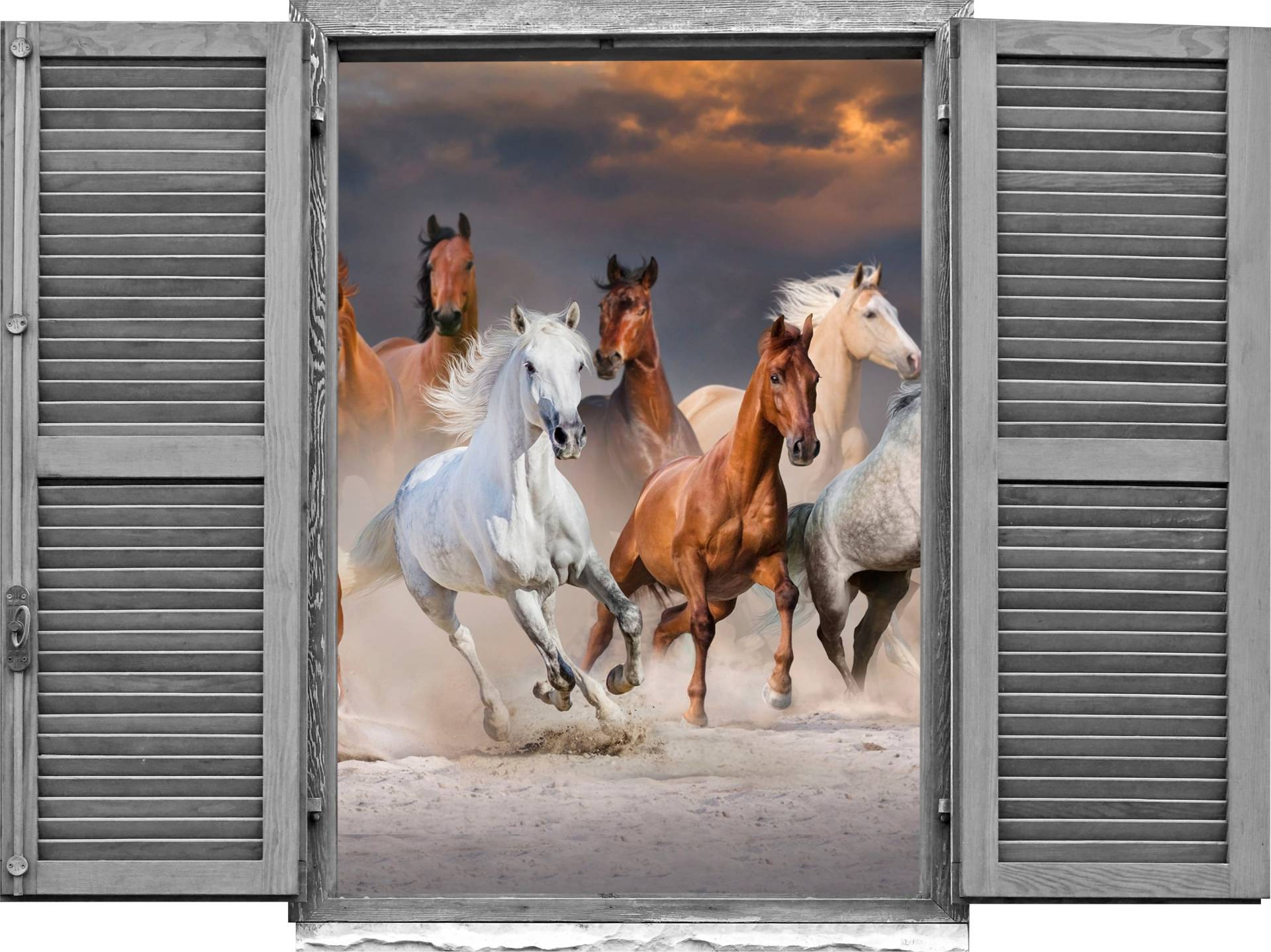 queence Wandtattoo »Pferde«, (1 St.), Wandsticker, Wandbild, selbstklebend, 3D, Fenster von queence