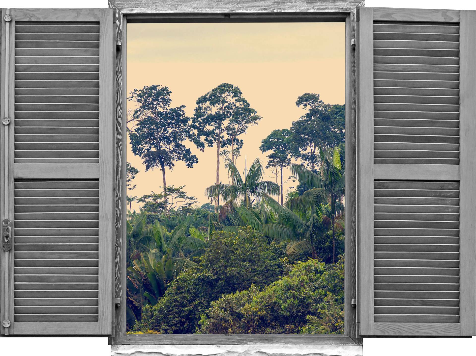 queence Wandtattoo »Regenwald«, (1 St.), Wandsticker, Wandbild, selbstklebend, 3D, Fenster von queence