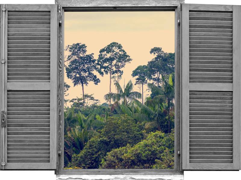 queence Wandtattoo »Regenwald«, (1 St.), Wandsticker, Wandbild, selbstklebend, 3D, Fenster von queence