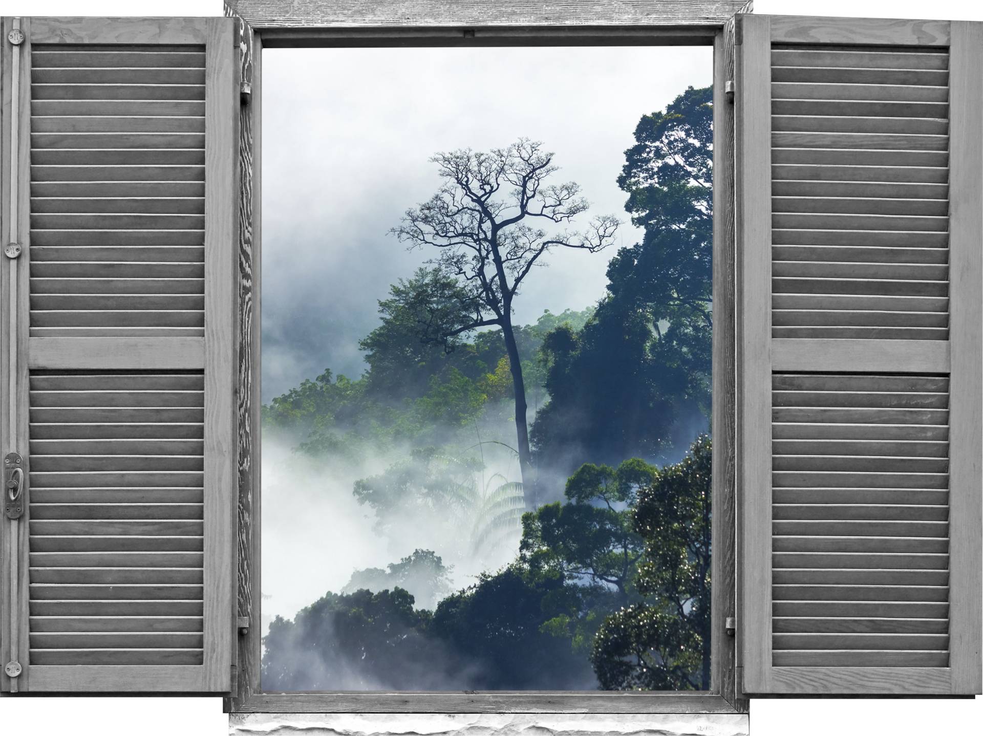 queence Wandtattoo »Regenwald«, (1 St.), Wandsticker, Wandbild, selbstklebend, 3D, Fenster von queence
