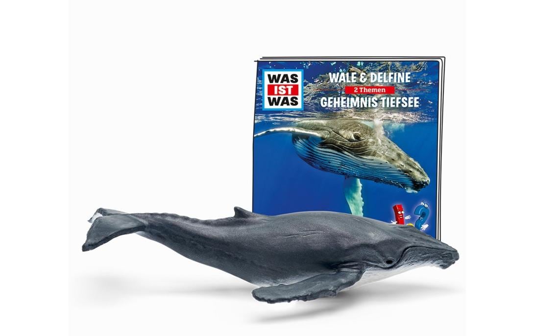 tonies Hörspielfigur »Was ist was: Wale & Delfine / Geheimnis Tiefsee« tonies Hörspielfigur »Was ist was: Wale & Delfine / Geheimnis Tiefsee« von tonies